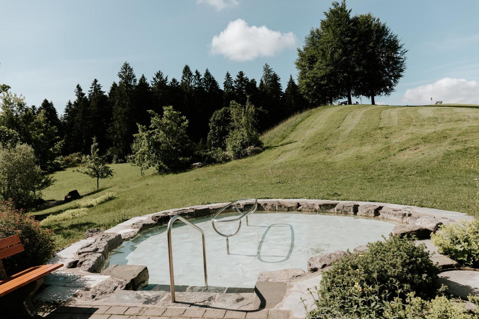 Heimatel - Ferienhaus Prinz-Lui Scheidegg Exterior photo